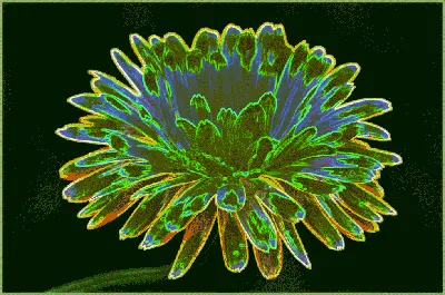 Рисунок на тему сказочный цветок (46 фото) » рисунки для срисовки на  Газ-квас.ком