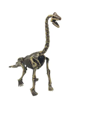 Скелет динозавра | Пикабу