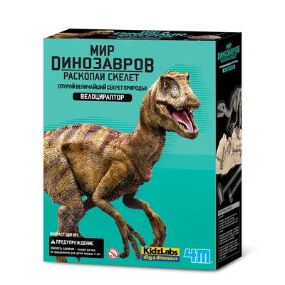 Векторный силуэт скелета динозавров. Ручной скелет динозавра. Кости  динозавров, экспонаты окаменелостей в музее Векторное изображение  ©Designer_things 417684318