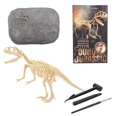 Мир Динозавров: Раскопай скелет Тираннозавра | Купить настольную игру в  магазинах Мосигра