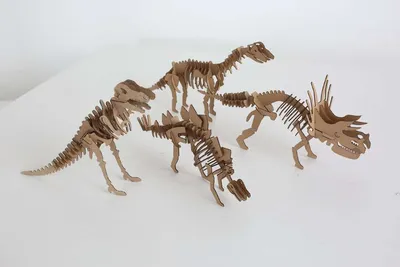 Скелетов динозавров