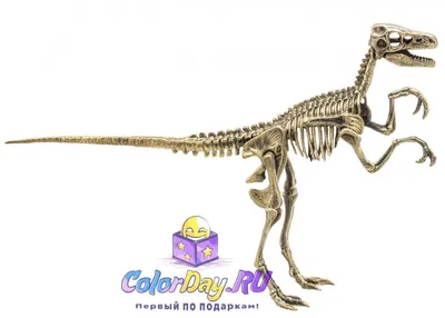 Раскопки для мальчиков СВЕТЯЩИЕСЯ ДИНОЗАВРЫ 2 в 1 / Опыты и эксперименты  для детей Скелет Тираннозавр и Трицератопс - купить с доставкой по выгодным  ценам в интернет-магазине OZON (872732809)
