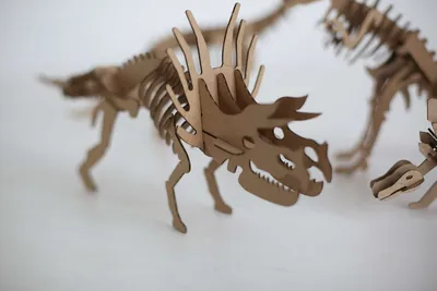 Скелет динозавра 3D Модель $8 - .3ds .blend .dae .fbx .max .obj - Free3D