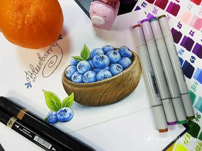 Sketching for Watercolor Painting for Beginners — Nicki Traikos | life i  design |