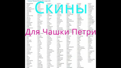 Чашка-Петри прикольный скин $) - YouTube