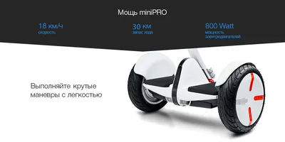 Купить гироскутер SmartONE 10,5 Premium Ben Ten в Казани по цене 11500 руб.  - Официальный сайт Elektro-mall