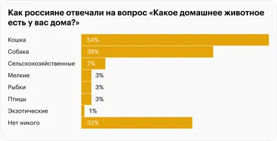 Сколько бездомных животных находится в России | Ветеринария и жизнь