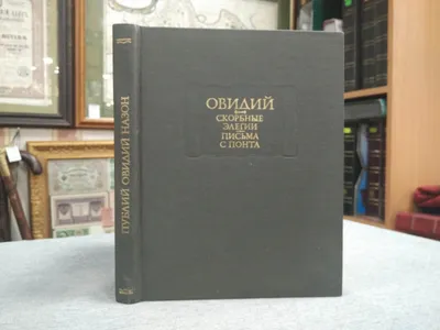 День памяти жертв фашизма 10 сентября: скорбные открытки и слова | Весь  Искитим | Дзен