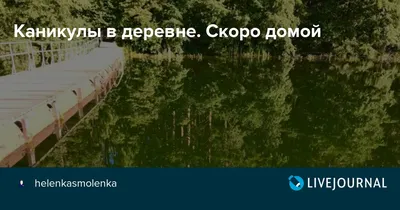 Сидят лев с быком, ужинают. Льву звонит жена: - Дорогой, ты скоро домой? -  Да, дорогая, скоро буду! Бык заржал: - Нуты… | Жизненные поговорки, Мудрые  цитаты, Цитаты