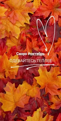 Открытки “Скоро осень” (44 картинки) - shutniks.com