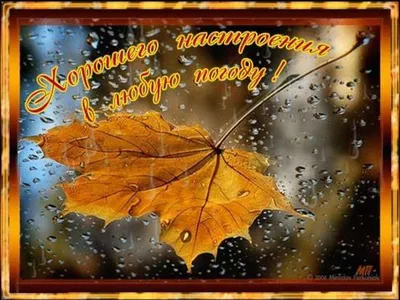 Скоро осень (Марина Перелюбская) / Стихи.ру