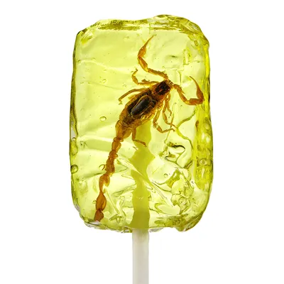 Scorpion Lollipop | Evolution Store