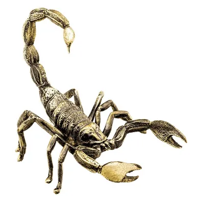 Скорпион Готтентота - Hottentotta gentili (S)