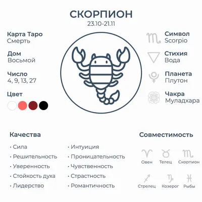 На Сахалин вместе с картошкой приплыл скорпион из Пакистана - Новости  Сахалинской области - astv.ru