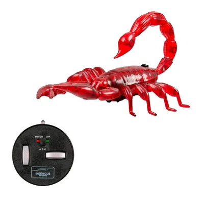 Прикол «Прыгающий скорпион» (313642) - Купить по цене от 159.00 руб. |  Интернет магазин SIMA-LAND.RU