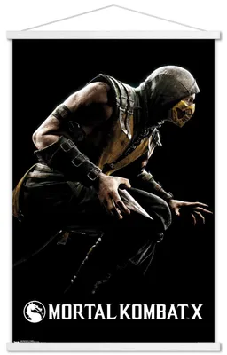 What do you dislike about Mortal Kombat X? : r/MortalKombat