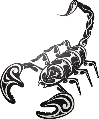 Женщина чуть не лишилась ребенка из-за укуса скорпиона в Мангистау