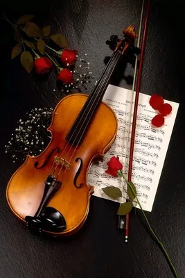 Violin Rose Wallpaper | Фотография скрипки, Скрипка, Изображения скрипки