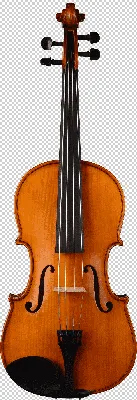 В московском Музее музыки покажут отреставрированную скрипку Страдивари -  РИА Новости, 03.10.2023