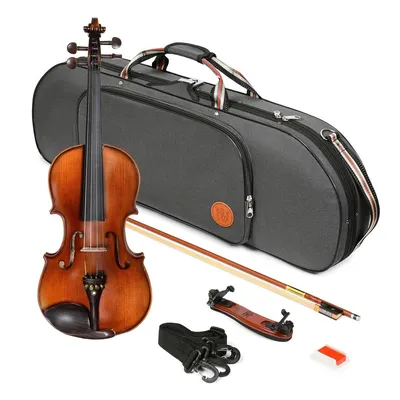 Скрипка: устройство инструмента, история происхождения, звучание, виды,  техника игры