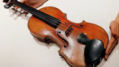 Скрипки купить в Москве по доступной цене