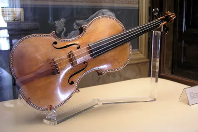 2,670 скрипки стоковые фото – бесплатные и стоковые фото RF от Dreamstime