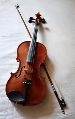 Скрипка своими руками | Пикабу