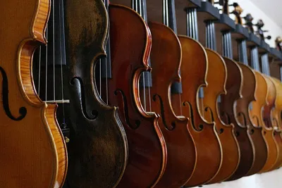 Уроки скрипки в Батуми | Minsk