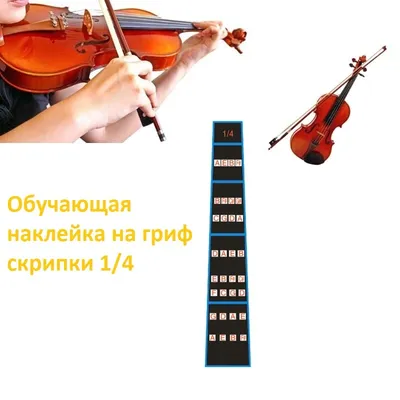 Продаю скрипку 3/4 из Чехии ручной: 25000 KGS ➤ Скрипки | Бишкек |  100942687 ᐈ lalafo.kg