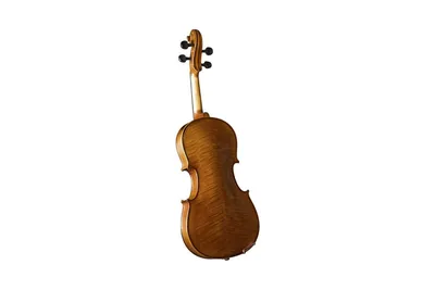 Пятиструнная скрипка — Википедия