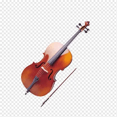 Скрипки всех размеров (id 3402632), купить в Казахстане, цена на Satu.kz