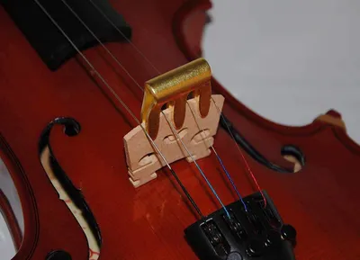 В Пензе стартовал цикл обучающих мероприятий московского «Дома скрипки»