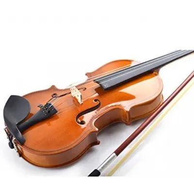 Футляр для скрипки и его важные параметры | Официальный представитель BAM