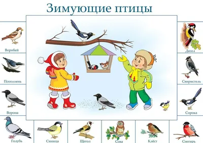 💚💚💚Зяблики, скворцы, жаворонки: какие птицы прилетели на природные  территории Москвы | Природа Москвы | Дзен