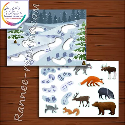Картинки следы зверей на снегу с названиями (66 фото) » Картинки и статусы  про окружающий мир вокруг