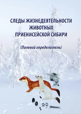 По следам на снегу». Животные Первомайского района | Интерактивное  образование