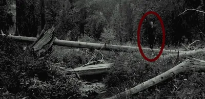 Слендермен в лесу (76 фото) - 76 фото