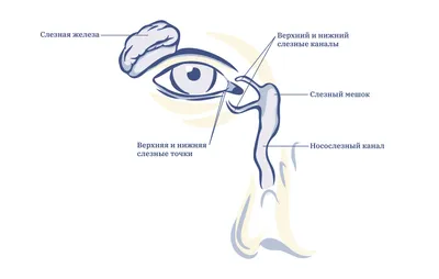 молодая девушка плачет и показывает слезы, разочарованные картинки,  разочарование, расстроенный фон картинки и Фото для бесплатной загрузки