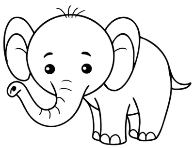 Рисунок слон раскраска - 80 фото