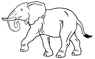 Раскраска - Дикие животные - Слон | MirChild