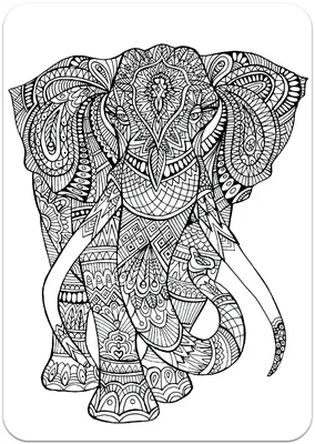 Раскраска животные слон. раскраски животные раскраска слон. Раскрашивать  онлайн.