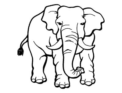 Раскраска милый слон | Премиум Фото