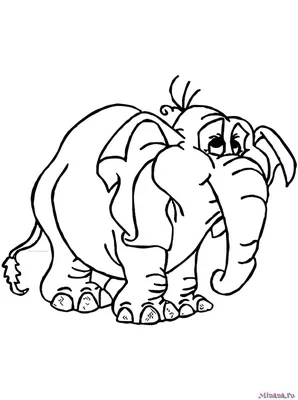 Огромный слон — раскраска для детей. Распечатать бесплатно.
