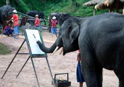 Картина \"Слон в живописи \" | Интернет-магазин картин \"АртФактор\"