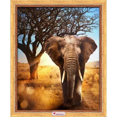 Картина в стиле живопись Розовый слон, купить в Иркутске | Арт-галерея Диас