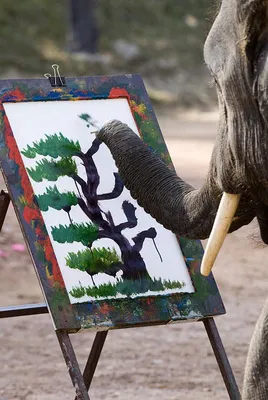 Слон, стиль наскальной живописи, фон…» — создано в Шедевруме