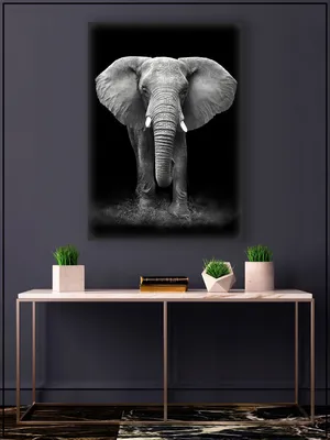 Картина на стену для интерьера \"Слон на чёрном фоне\" на натуральном холсте  55*77 см - купить по низкой цене в интернет-магазине OZON (489170453)