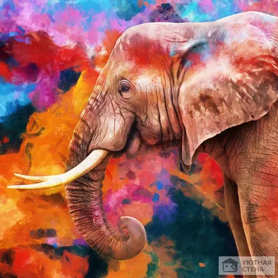 Фотообои \"Индийский слон на абстрактном фоне\" - Арт. 900808 | Купить в  интернет-магазине Уютная стена