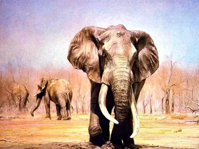 Фотообои \"Слон на фоне 3D кирпичной стены\" - Арт. 002060047 | Заказать в  интернет-магазине Фото в дом