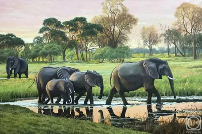 Модульная картина \"Слон на дороге\" купить | в Мнекартину по цене 5 795 руб.  + скидка 45%